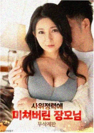 暗夜旅人 电视剧 2026